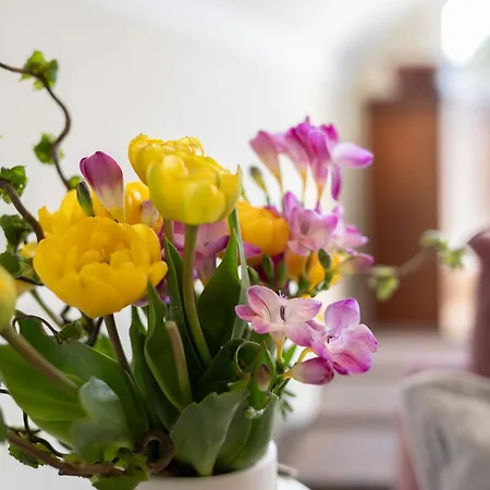 Apartment Dünenrose