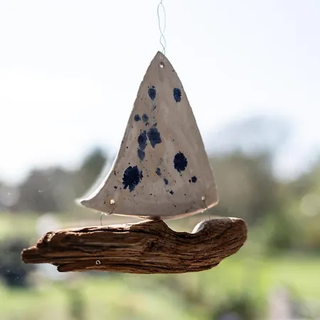 펜션 Duenenrose 보른